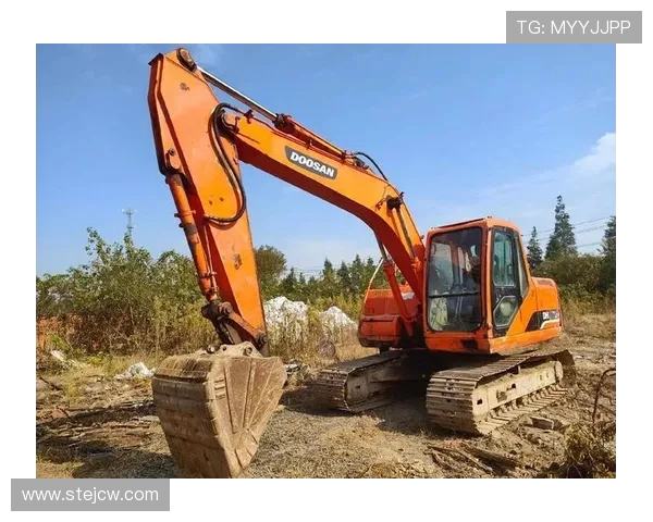 挖掘机与大自然的和谐共处