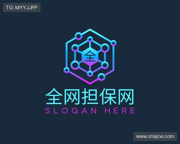 介绍全网担保网